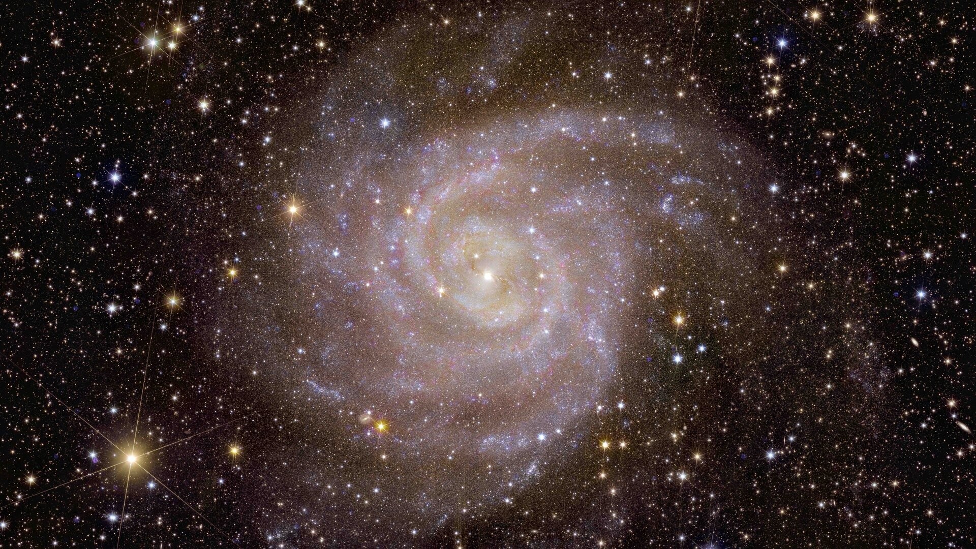 euclid-s-view-of-spiral-galaxy-ic-342-pillars.jpg