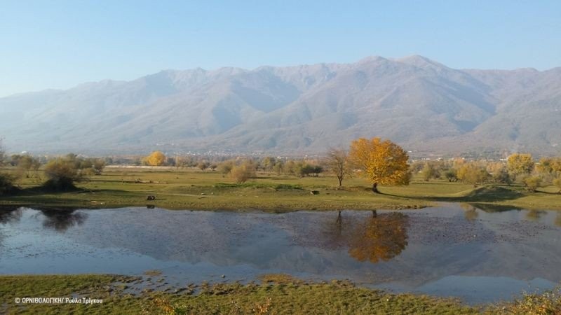 lake-kerkini-rtrigou-ornithologiki.jpg