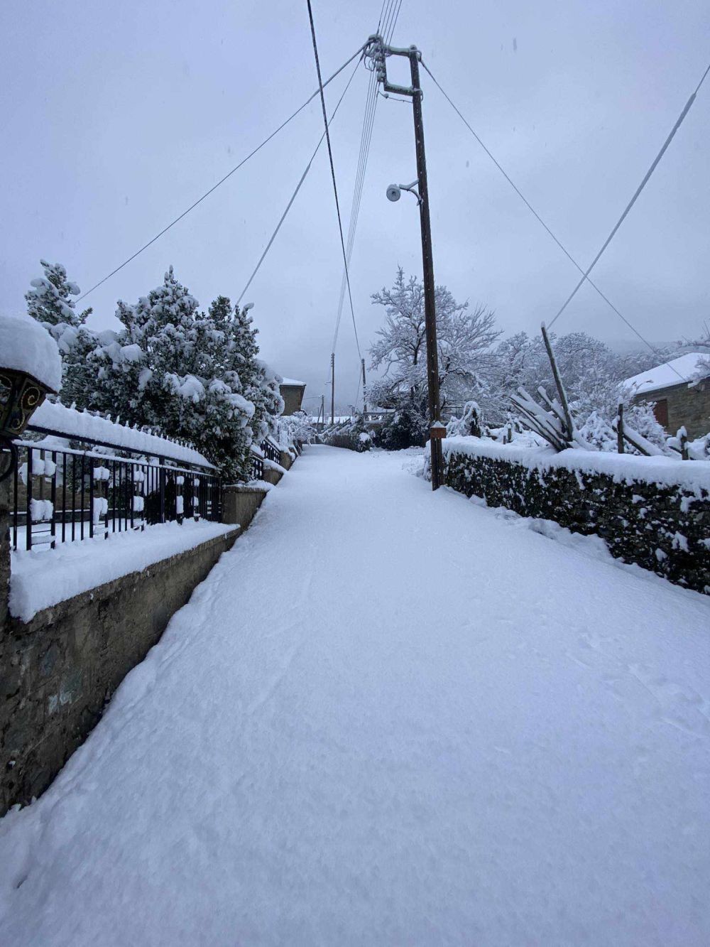 flampourari-xorio-anatoliko-zagori.jpg