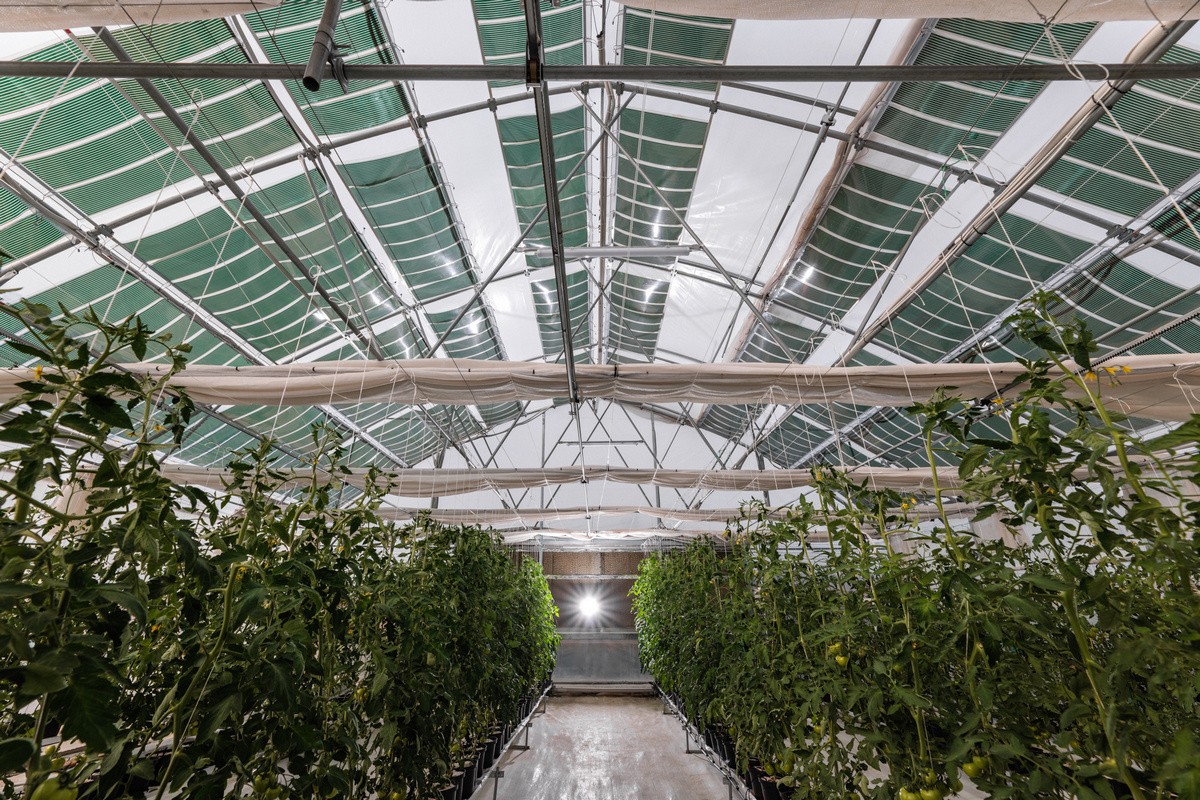 greenhouse.jpg