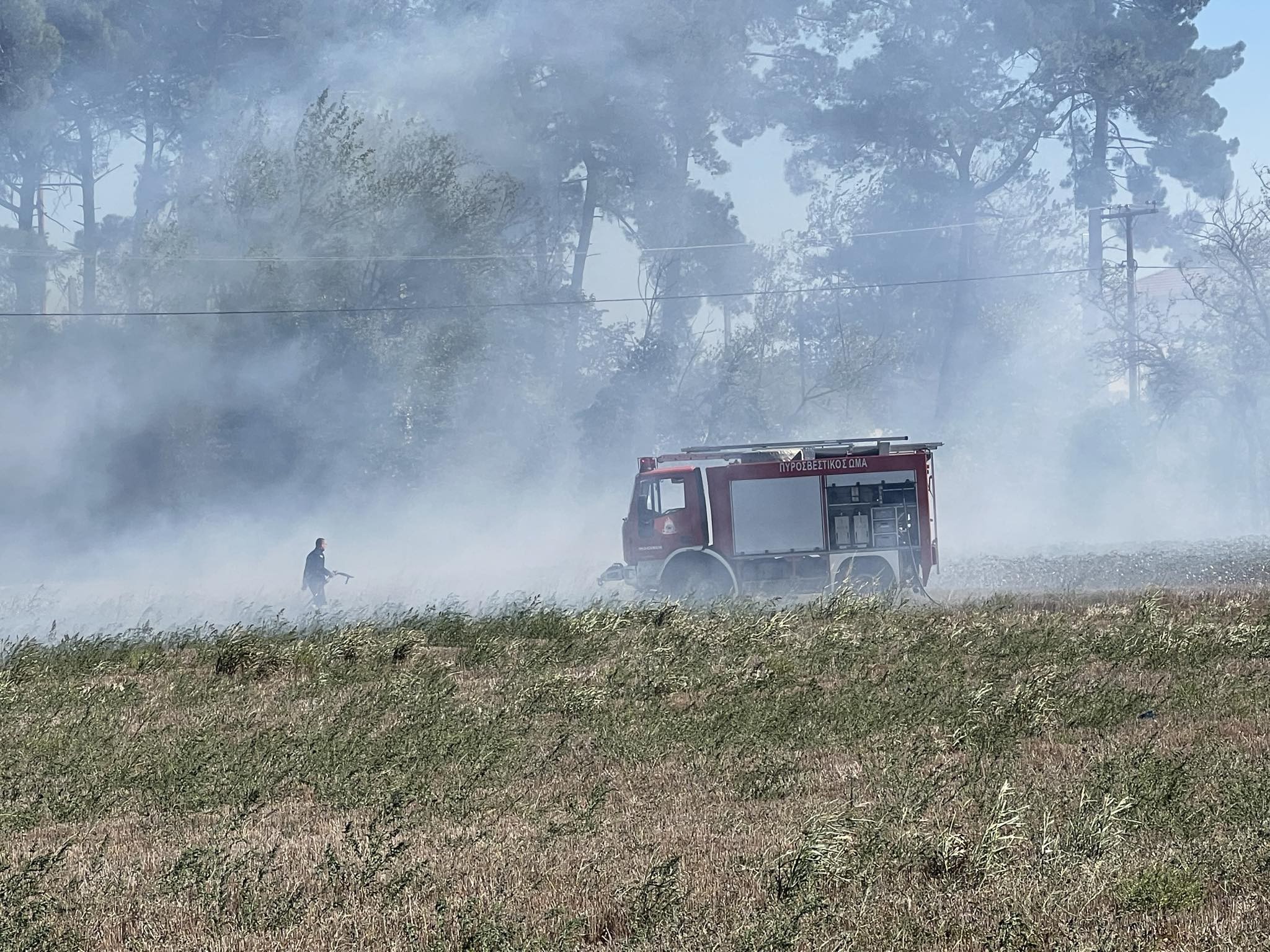 pirkaghiaeidomeni1.jfif