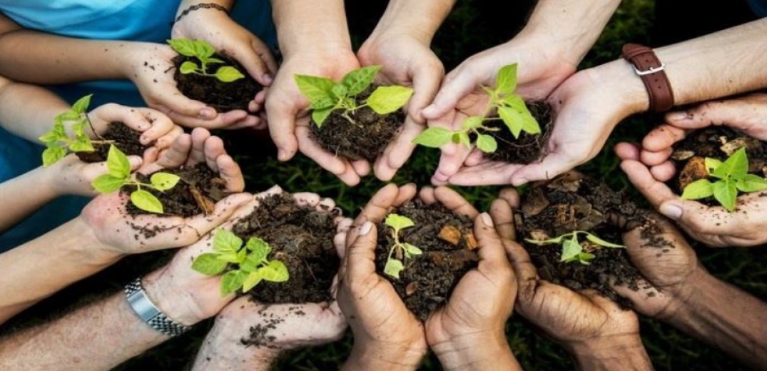 Διήμερο φυτεύσεων στο βρώσιμο δάσος της Νεάπολης - Δηλώστε συμμετοχή