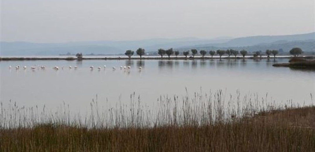 Η κλιματική αλλαγή απειλεί το 1&#x2F;3 των υγροτόπων της Μεσογείου - Η στάθμη της θάλασσας ανεβαίνει επικίνδυνα