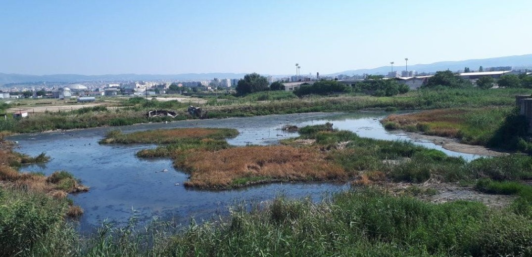  Καθαρίζει από τα μολυσμένα νερά το δυτικό θαλάσσιο μέτωπο – Απομακρύνονται και 950 τόνοι επικινδύνων αποβλήτων