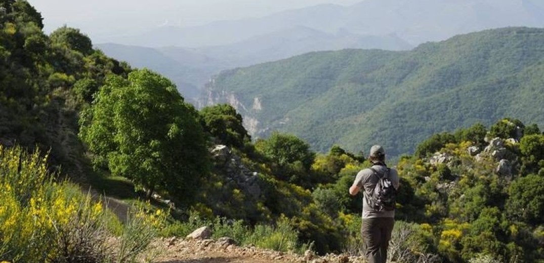 Εντοπίστηκαν 193 δηλητηριασμένα δολώματα σε ορεινή περιοχή της Θεσσαλίας