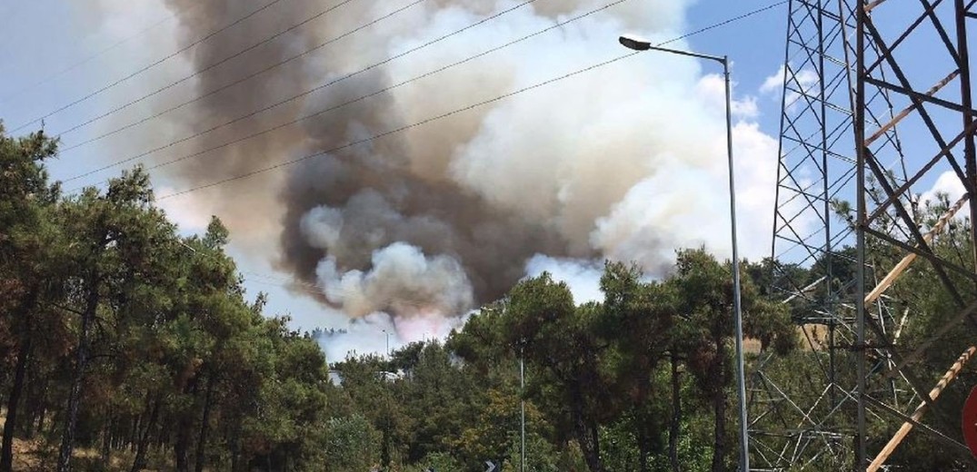 “Τείχος” προστασίας ενάντια στις πυρκαγιές στο Σέιχ – Σου και τα πευκοδάση της Χαλκιδικής - Ποια μέτρα λαμβάνονται