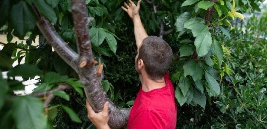 Φρέσκα φρούτα για φοιτητές και προσωπικό από την αυλή του... ΠΑΜΑΚ&#33;