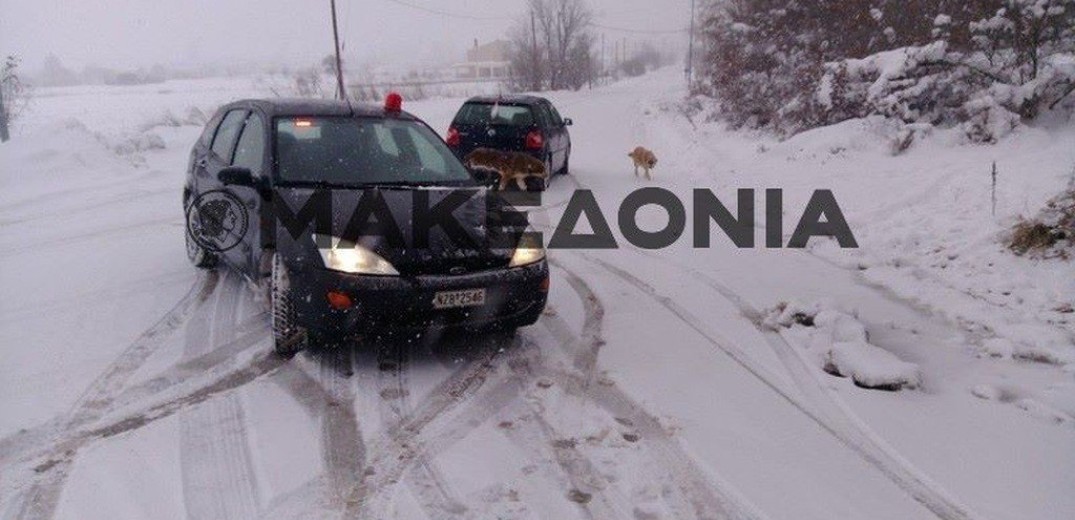 Εγκλωβίστηκε για μία ώρα ζευγάρι ηλικιωμένων στο δρόμο Αγίου Βασιλείου - Χορτιάτη (Βίντεο-Φωτ.)