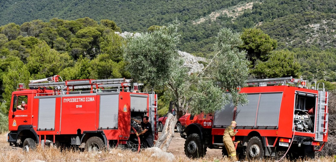 Υπό μερικό έλεγχο τέθηκε η πυρκαγιά στη Βαδίστρα Ιωαννίνων