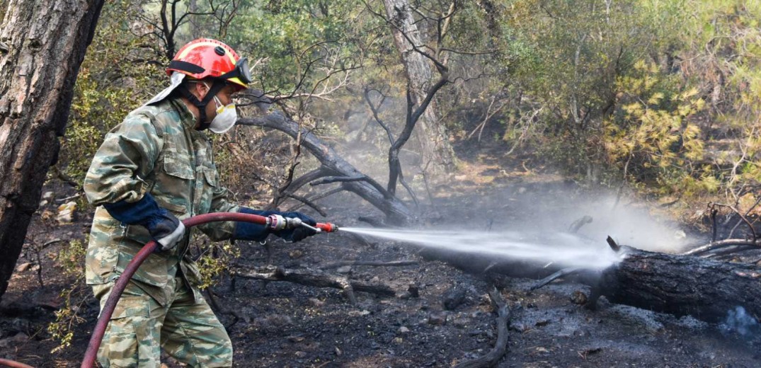 Απειλεί και το χωριό η φωτιά στο δάσος της Δαδιάς στον Εβρο (βίντεο - φωτ.)