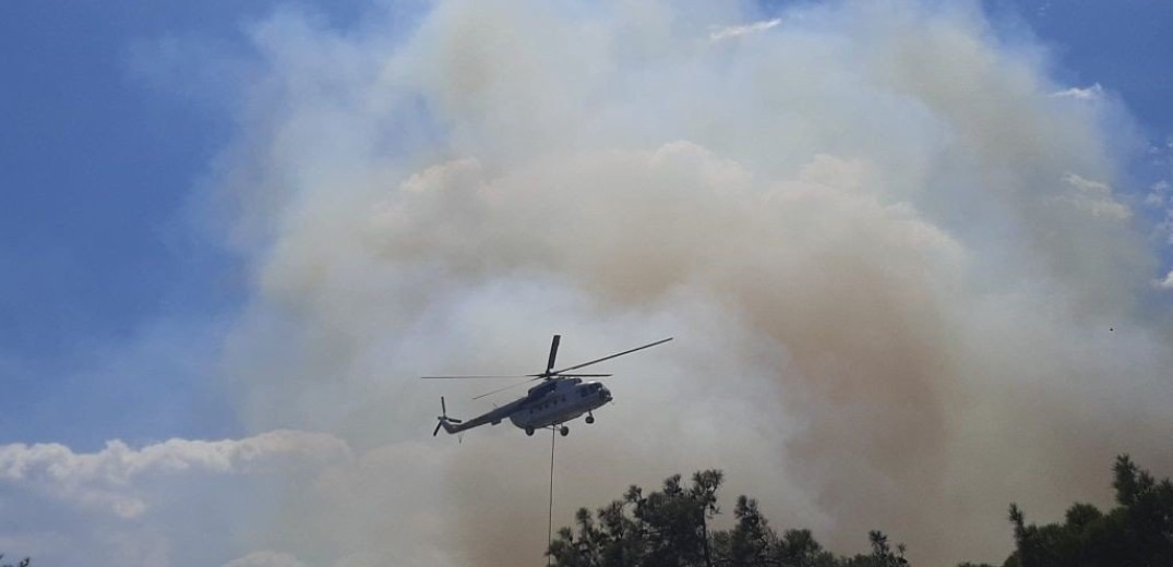 Πυρκαγιά σε δασική έκταση στον Πρόδρομο Βοιωτίας - Μήνυμα από το 112 