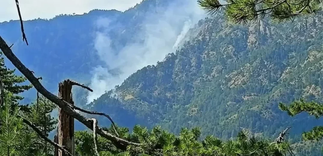 Γρέβενα: Καίει η φωτιά στη Βάλια Κάλντα για τρίτη μέρα