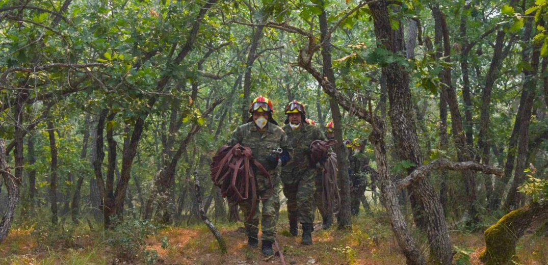 Ζητείται σχέδιο για την επόμενη ημέρα της Δαδιάς 