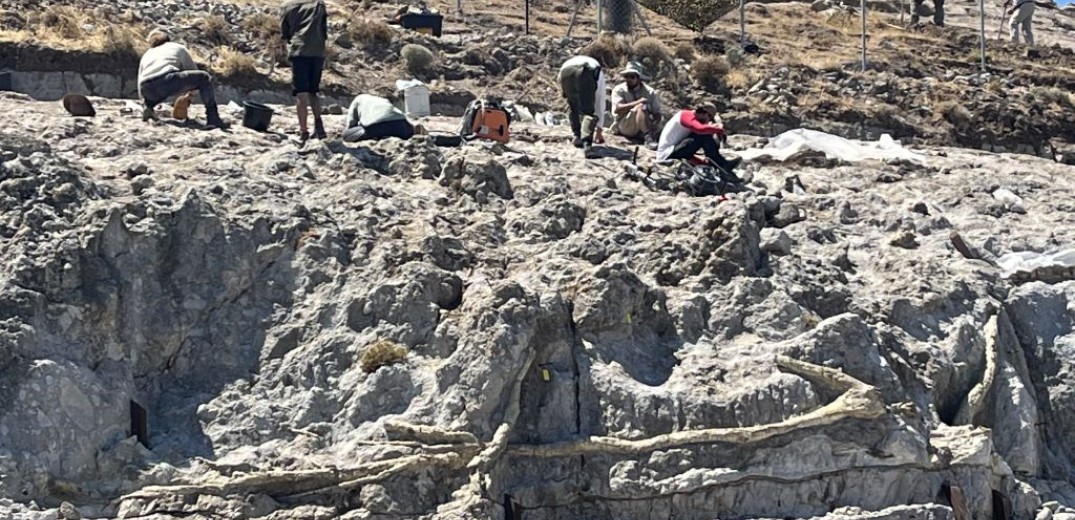 Εντυπωσιακό νέο εύρημα στη Λέσβο - Υπήρχαν 4 απολιθωμένα δάση