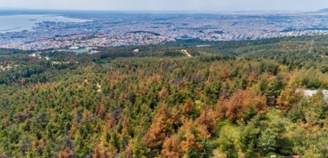 Θεσσαλονίκη: Απαγόρευση κυκλοφορίας στο Σειχ Σου