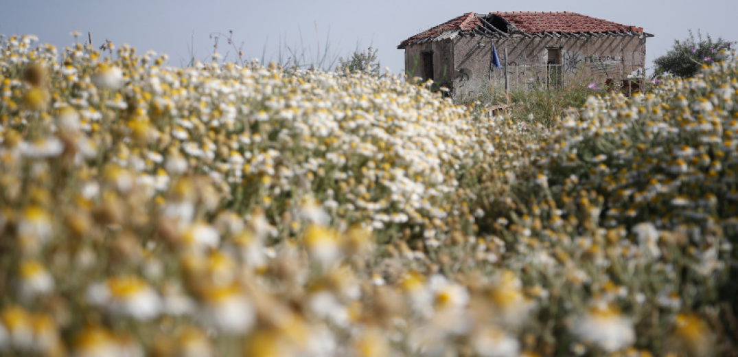 Έκκληση να σωθεί το Σπίτι του φύλακα της αλυκής Αγγελοχωρίου 