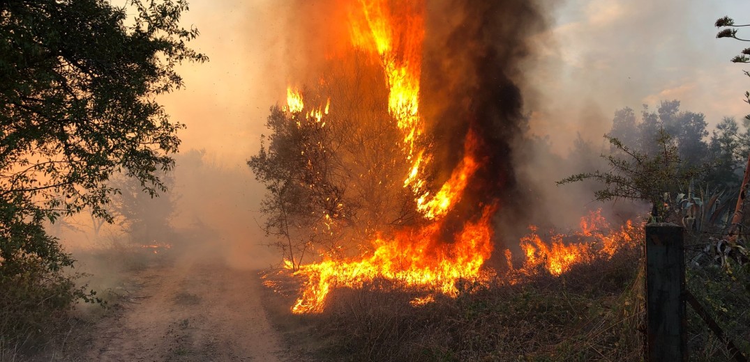 Στις 22 οι αγροτοδασικές πυρκαγιές το τελευταίο 24ωρο