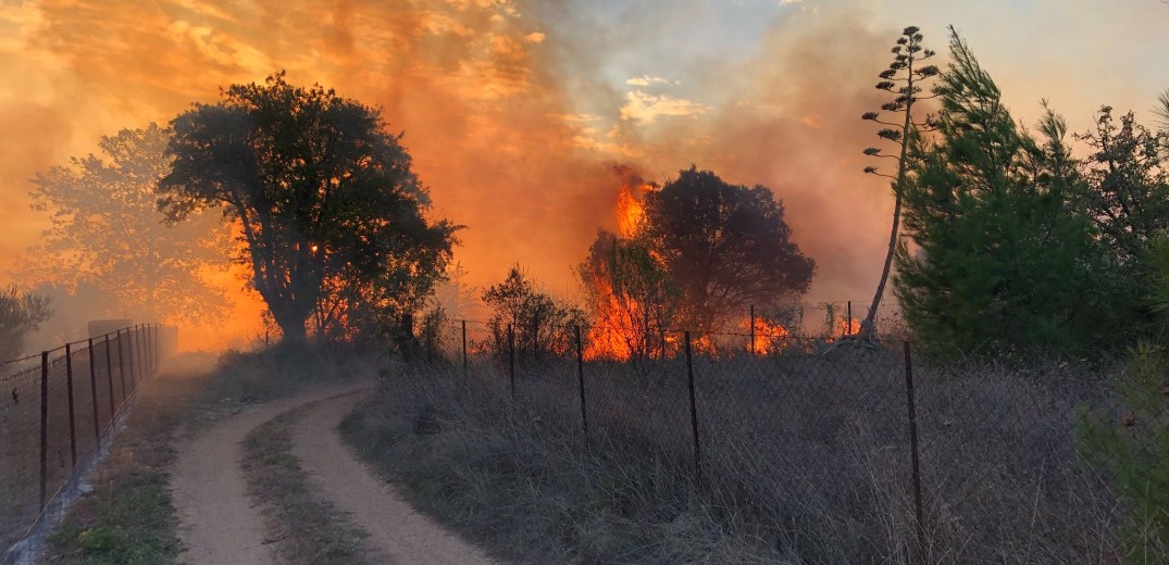 Αγρίνιο: Πυρκαγιά στην περιοχή Στράτος 