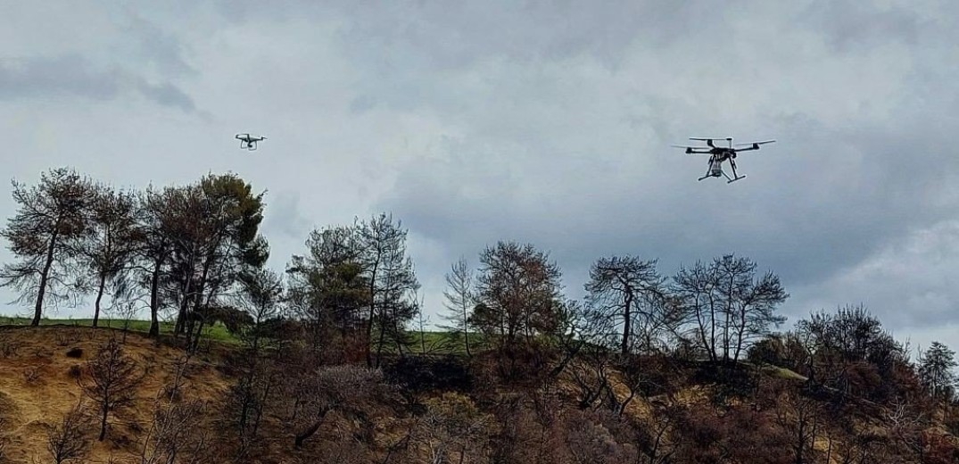 Διευκρινίσεις του υπουργείου Περιβάλλοντος και Ενέργειας για τα έργα αποκατάστασης και αναδάσωσης στη βόρεια Εύβοια