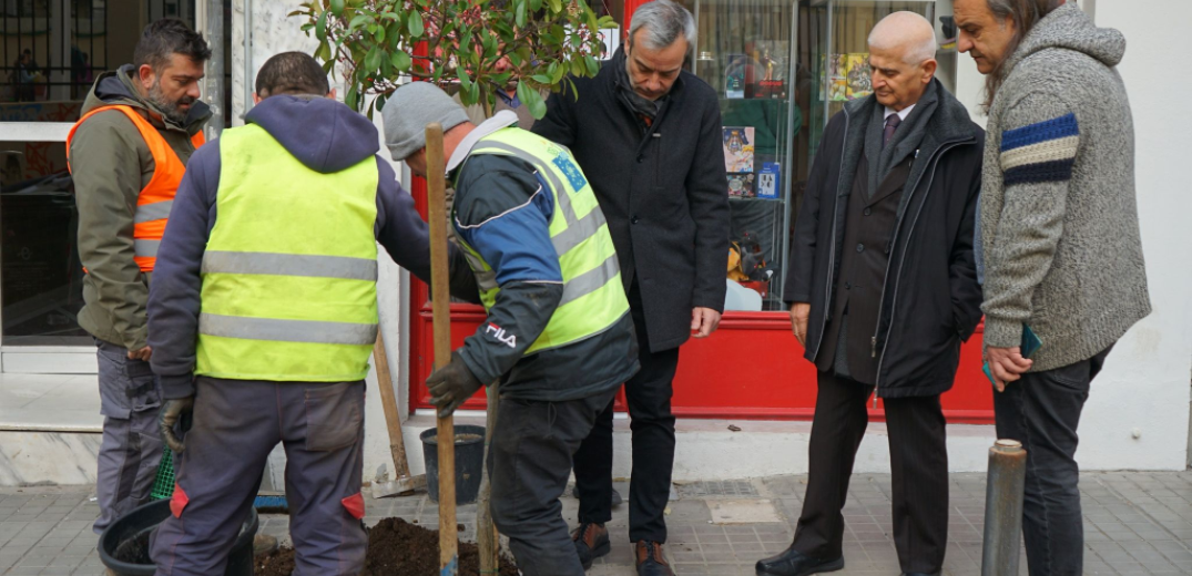 Τη φύτευση 3.000 δέντρων μέχρι την άνοιξη ανακοίνωσε ο Κ. Ζέρβας (φωτ.)