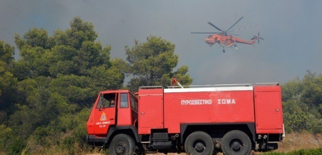 Θεσσαλονίκη: Οριοθετήθηκε η φωτιά σε δασική έκταση στο Χορτιάτη - Πώς ξεκίνησε (δείτε βίντεο)