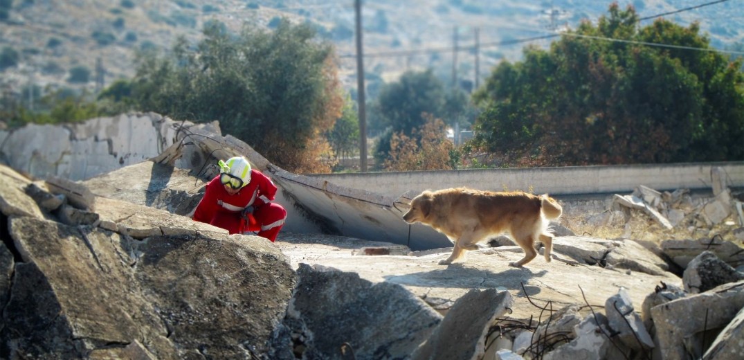 Θεσσαλονίκη: Δώδεκα σκύλοι έρευνας και διάσωσης της ΕΟΔ σε άσκηση στο Χορτιάτη