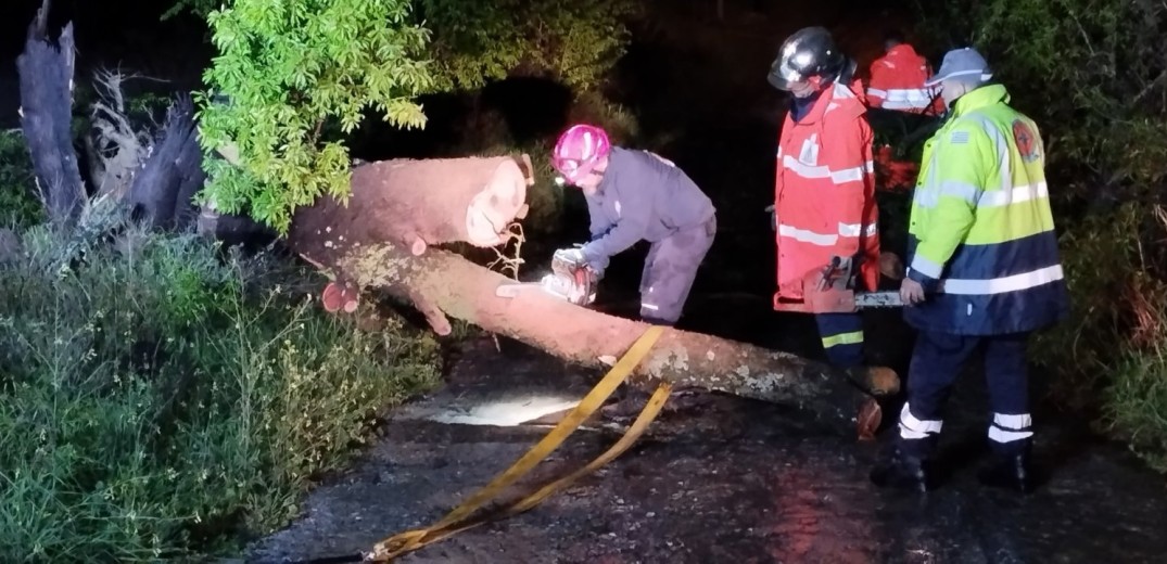 Θέρμη: Πτώσεις δέντρων και πλημμυρισμένες κατοικίες άφησε πίσω της η «Ilina» (φωτ.)