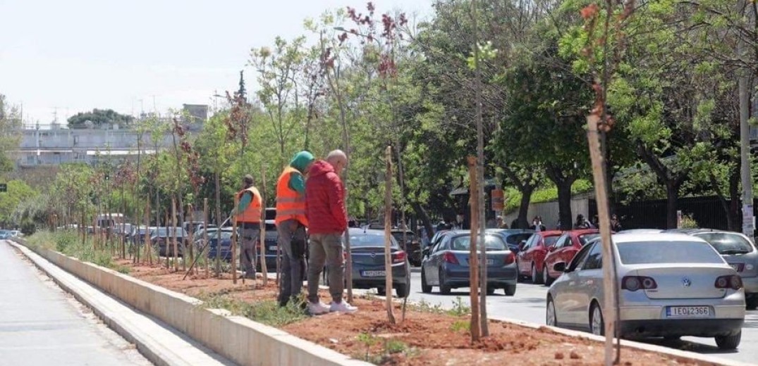 Θεσσαλονίκη: Χίλια νέα δέντρα φυτεύτηκαν μέσα σε πέντε εβδομάδες στον κεντρικό δήμο