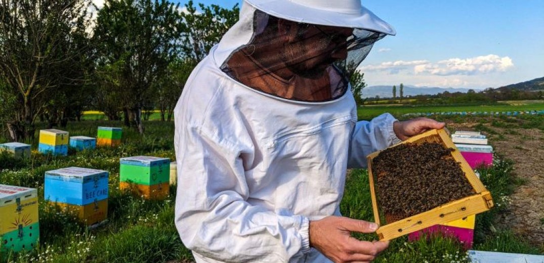 Χωρίς μέλι λόγω βροχών η Κεντρική Μακεδονία (φωτ.)