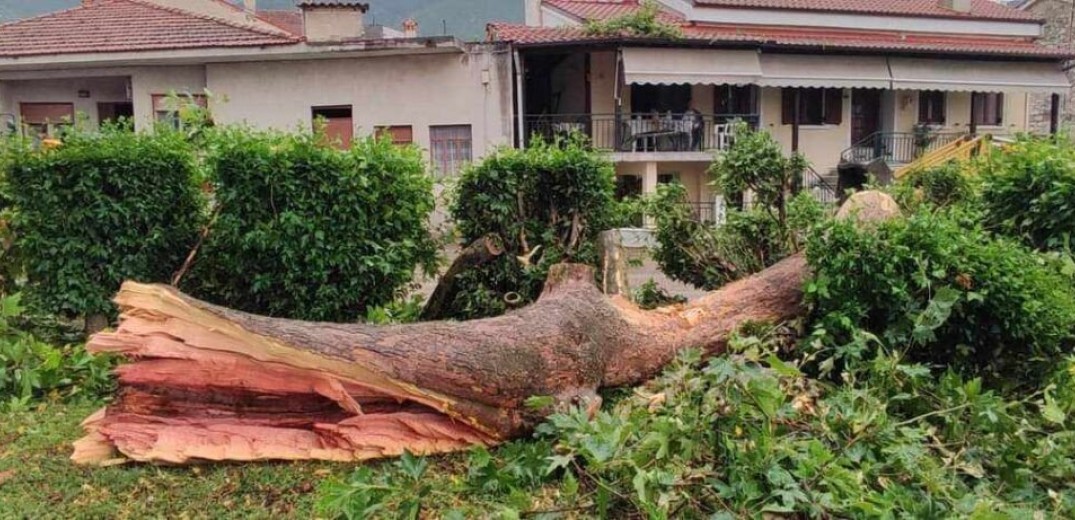 Κακοκαιρία στο Βελβεντό: Αποκαταστάθηκε η ρευματοδότηση - Σε εγρήγορση η Πυροσβεστική (φωτ.)