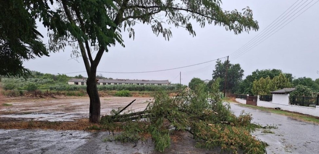 Σέρρες: Χαμός από το ξαφνικό μπουρίνι - Ξεχείλισαν φρεάτια, δεκάδες κλήσεις στην Πυροσβεστική (βίντεο, φωτ.)