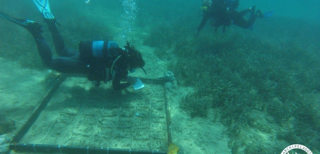 Φυτεύοντας Υποβρύχιους Κήπους Ποσειδωνίας: Μια νέα καινοτόμος διαδικασία φύτευσης