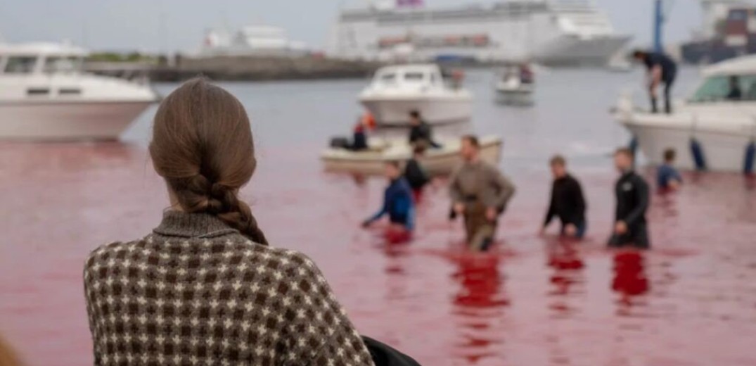 Φρικιαστικές εικόνες: Μαζική σφαγή φαλαινών μπροστά σε επιβάτες κρουαζιερόπλοιου (φωτ.)