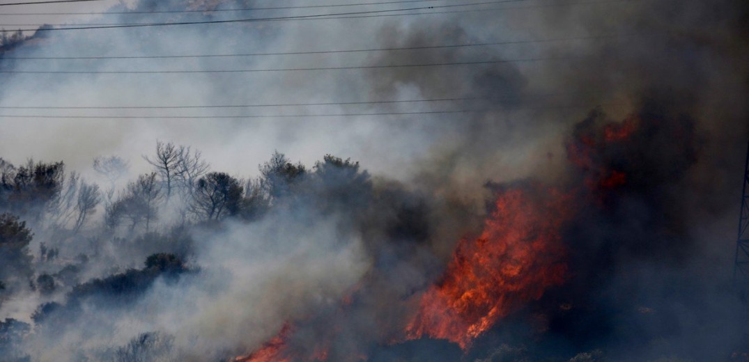 Ρ. Σβίγκου: Είμαστε έτοιμοι να συνδράμουμε όπου χρειαστεί στις πυρκαγιές