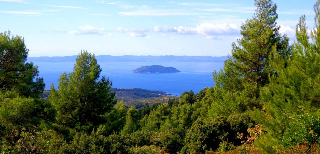 Απαγορεύεται και αύριο Πέμπτη η κυκλοφορία σε δάση της Χαλκιδικής