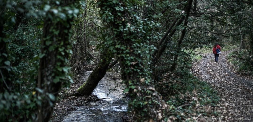 Χαλκιδική: Απαγόρευση κυκλοφορίας λόγω κινδύνου εκδήλωσης πυρκαγιάς - Σε ποιές περιοχές