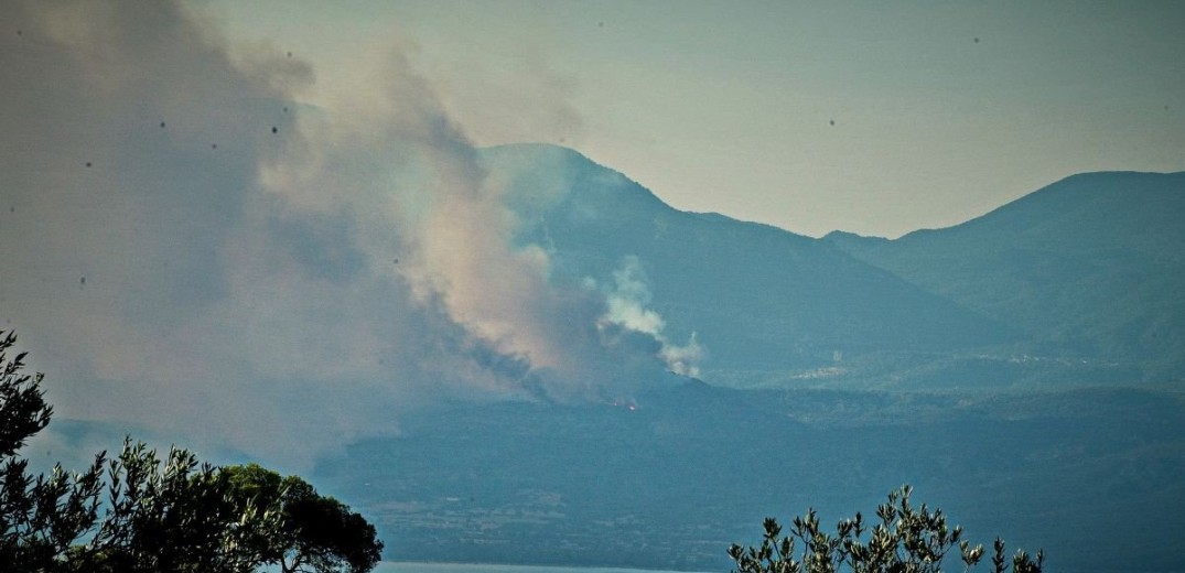 Έπιασε φωτιά και στην Εύβοια - 3 ενεργά μέτωπα