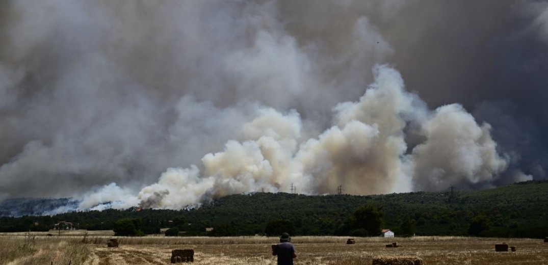 Περισσότερα από 46.000 στρέμματα γης έγιναν στάχτη σε Αττική και Βοιωτία