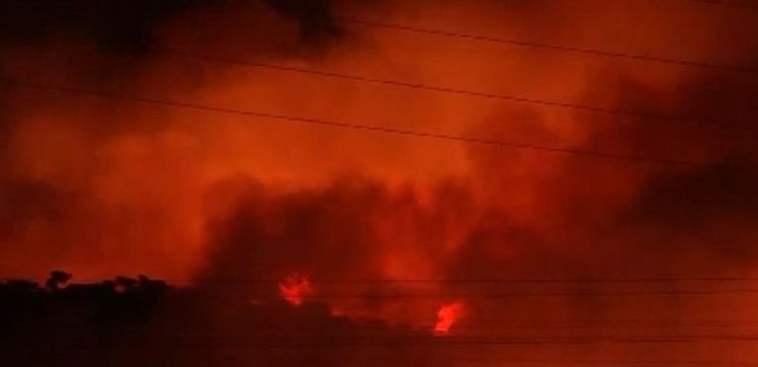 Φλέγεται παρθένο δάσος στη Γλυκιά Ζωή Κορινθίας (βίντεο)