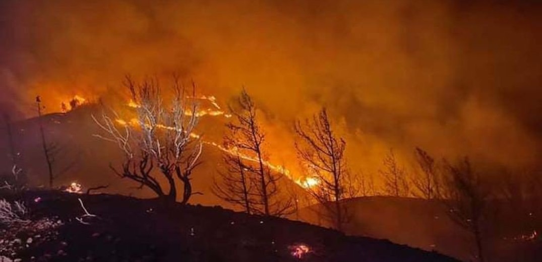 Εκτός ελέγχου καίει η δασική πυρκαγιά στη Ρόδο (βίντεο & φωτ.)