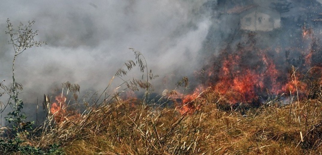 Θεσσαλονίκη: Υπό μερικό έλεγχο η φωτιά στο Φίλυρο (βίντεο)