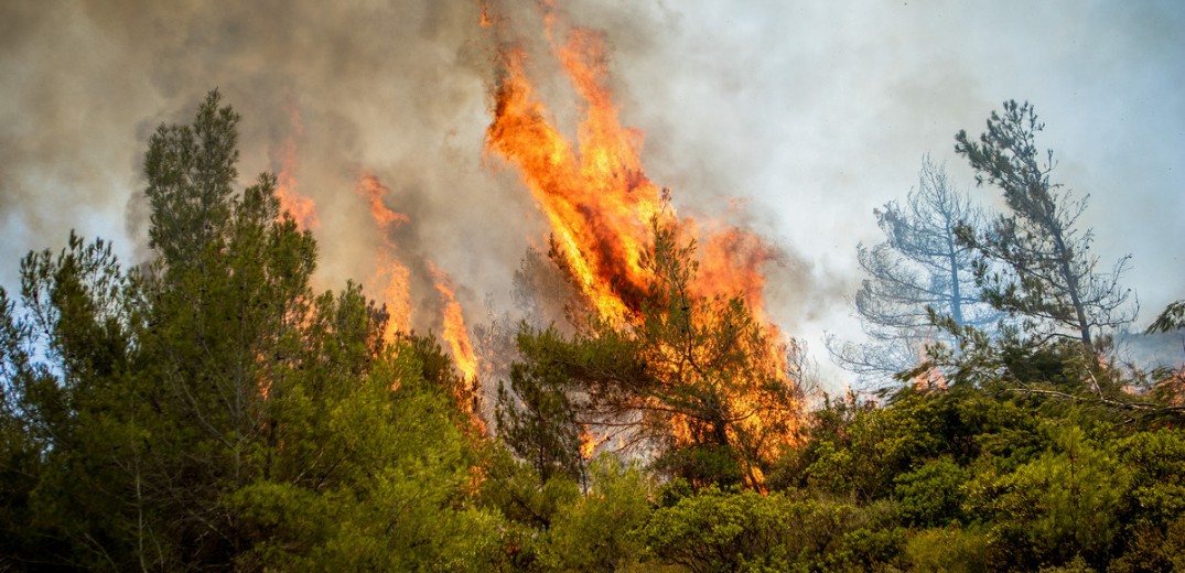 Όταν τα δάση καίγονται χειροτερεύει η ποιότητα του αέρα που αναπνέουμε