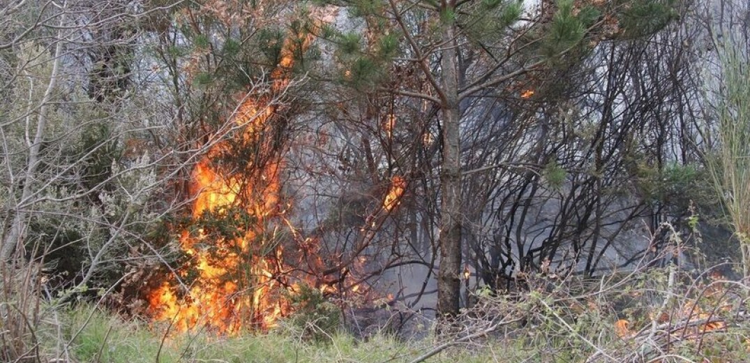 Υπό μερικό έλεγχο η πυρκαγιά σε χαμηλή βλάστηση στον Ασπρόπυργο