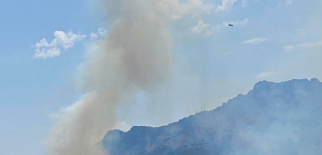 Θάσος: Υπό πλήρη έλεγχο η φωτιά  (βίντεο, φωτ.)