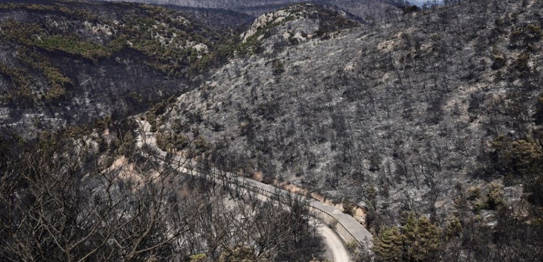 Βελτιωμένη η εικόνα στις πυρκαγιές σε Δυτική Αττική, Ρόδο και Λακωνία - Ξεκίνησαν ρίψεις τα εναέρια μέσα	