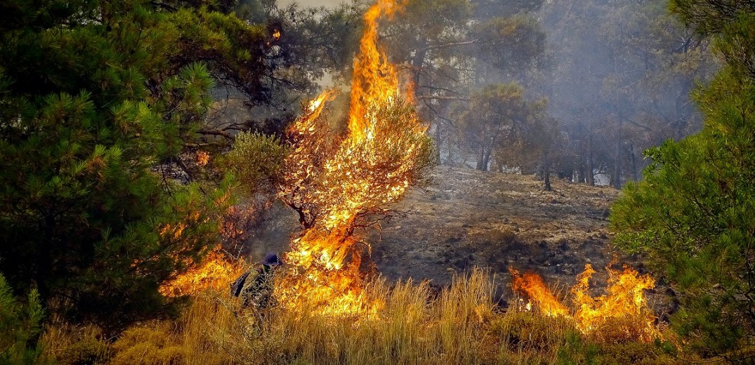 Συνεχίζεται η μάχη με τις φλόγες στη Ρόδο - Χάθηκαν χιλιάδες στρέμματα παρθένου δάσους (βίντεο)