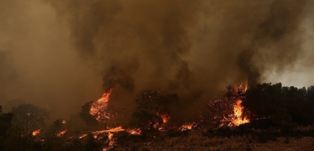 Εκτός ελέγχου το μέτωπο στην Δυτική Αττική - Εκκενώνεται και η Οινόη (βίντεο)