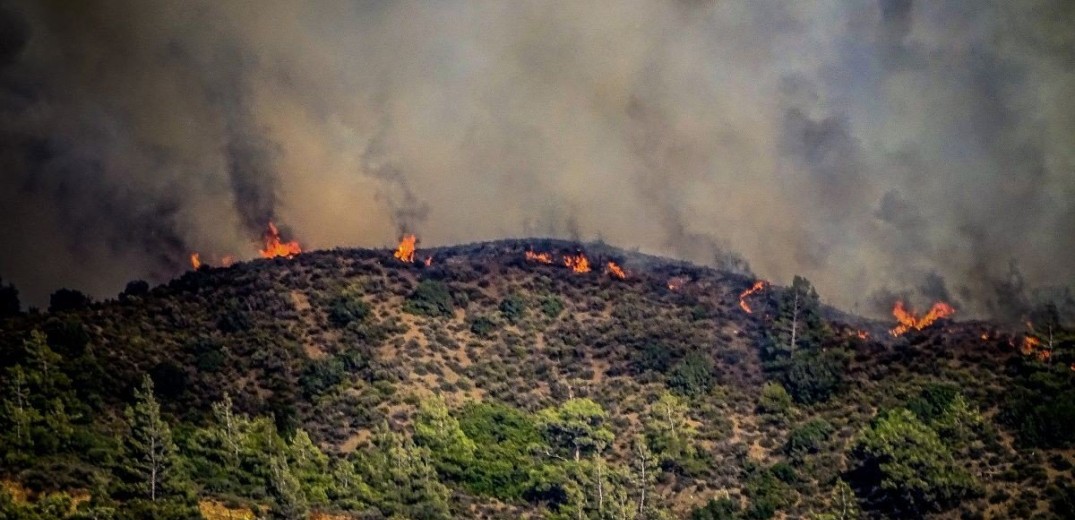 Πύρινος εφιάλτης στη Ρόδο: Μάχη με τις αναζωπυρώσεις για τέταρτη ημέρα (βίντεο)