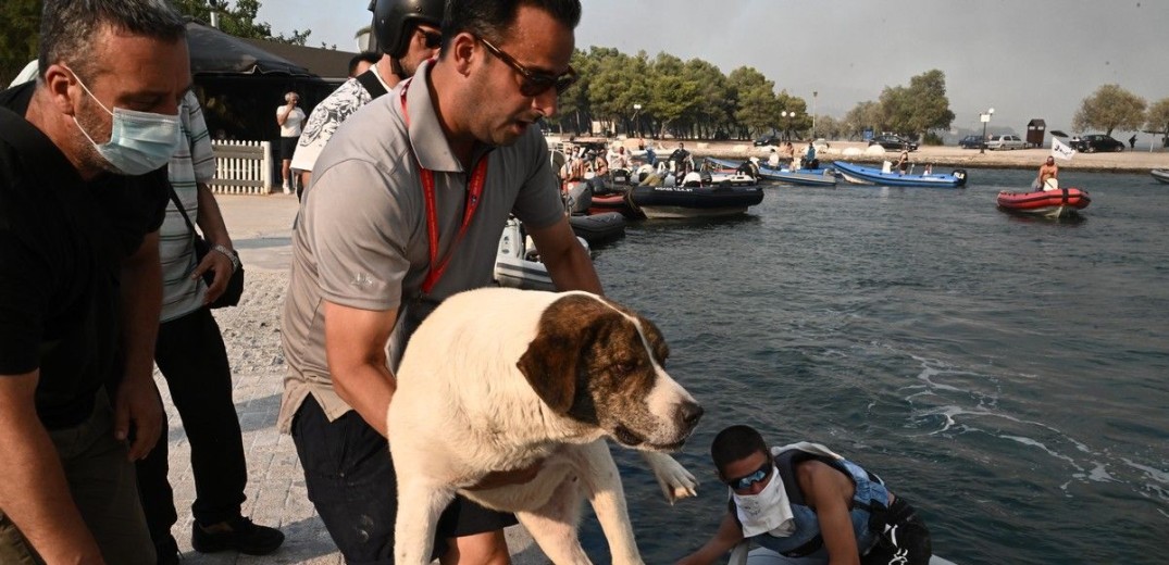 Βόλος: Αναβλήθηκε το παγκόσμιο πρωτάθλημα ιστιοπλοΐας - Αθλητές απ&#x27; όλο τον κόσμο σώζουν ανθρώπους με τα σκάφη τους