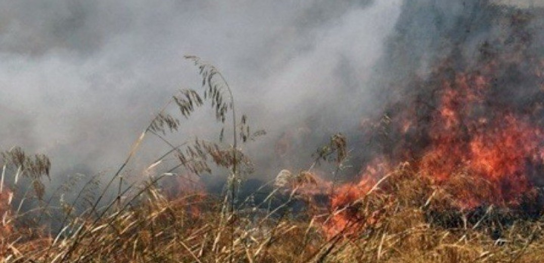  Φωτιά στην Μεσσηνία: Επιχειρούν έξι αεροπλάνα